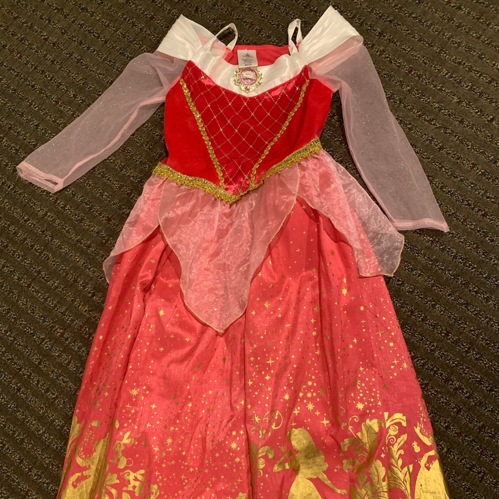 Disney costume—sleeping beauty/Aurora